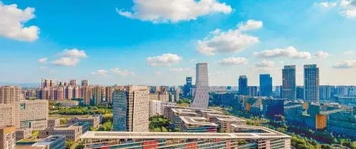 青春在这头，梦想在那头 成都朗力在天府软件园的成长故事